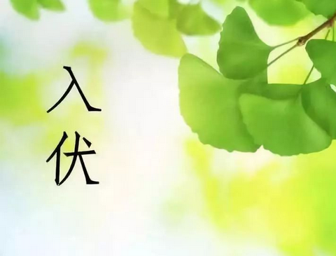 何為三伏天？三伏貼？ 